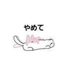 可愛い白猫さんだよ（個別スタンプ：3）