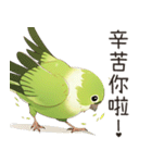 小鳥メジロ（中国語）（個別スタンプ：1）