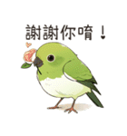 小鳥メジロ（中国語）（個別スタンプ：2）