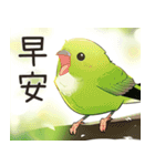 小鳥メジロ（中国語）（個別スタンプ：3）