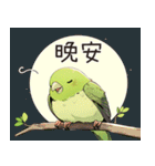 小鳥メジロ（中国語）（個別スタンプ：4）