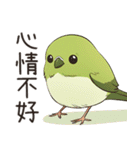 小鳥メジロ（中国語）（個別スタンプ：5）