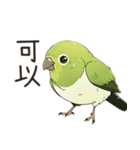 小鳥メジロ（中国語）（個別スタンプ：9）