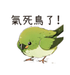 小鳥メジロ（中国語）（個別スタンプ：11）