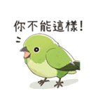 小鳥メジロ（中国語）（個別スタンプ：12）