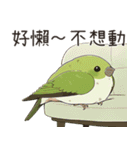 小鳥メジロ（中国語）（個別スタンプ：13）