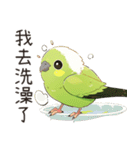 小鳥メジロ（中国語）（個別スタンプ：16）