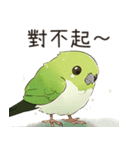 小鳥メジロ（中国語）（個別スタンプ：17）