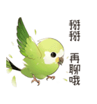 小鳥メジロ（中国語）（個別スタンプ：18）