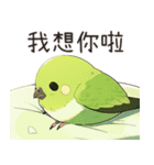 小鳥メジロ（中国語）（個別スタンプ：19）