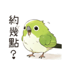 小鳥メジロ（中国語）（個別スタンプ：20）