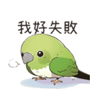 小鳥メジロ（中国語）（個別スタンプ：25）