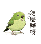 小鳥メジロ（中国語）（個別スタンプ：27）