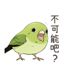 小鳥メジロ（中国語）（個別スタンプ：29）