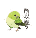 小鳥メジロ（中国語）（個別スタンプ：30）