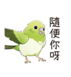 小鳥メジロ（中国語）（個別スタンプ：31）