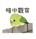 小鳥メジロ（中国語）（個別スタンプ：32）