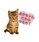 えるちんのにゃんかうるちゃいスタンプ（個別スタンプ：1）