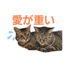 えるちんのにゃんかうるちゃいスタンプ（個別スタンプ：8）