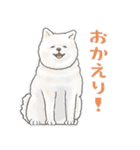 秋田犬 あきたちゃんの秋2023（個別スタンプ：11）