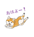 秋田犬 あきたちゃんの秋2023（個別スタンプ：12）