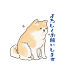 秋田犬 あきたちゃんの秋2023（個別スタンプ：21）