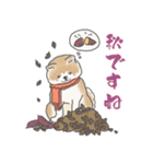 秋田犬 あきたちゃんの秋2023（個別スタンプ：23）