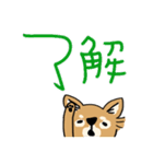 チワワっぽいイヌー（個別スタンプ：11）