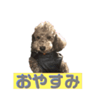 ピースとライちゃんの日常スタンプ（個別スタンプ：3）