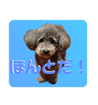 ピースとライちゃんの日常スタンプ（個別スタンプ：9）
