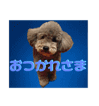 ピースとライちゃんの日常スタンプ（個別スタンプ：10）
