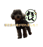 ピースとライちゃんの日常スタンプ（個別スタンプ：30）
