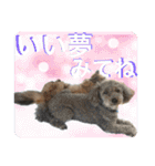ピースとライちゃんの日常スタンプ（個別スタンプ：39）