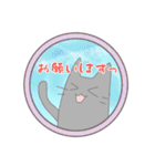 空とねこ（個別スタンプ：7）