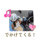 キッズスタンプeふぁみりー（個別スタンプ：17）