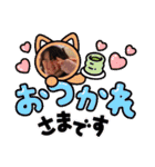 キッズスタンプeふぁみりー（個別スタンプ：31）