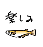 魚大好きな方に送るスタンプ。（個別スタンプ：18）