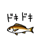 魚大好きな方に送るスタンプ。（個別スタンプ：19）