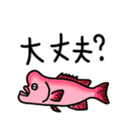 魚大好きな方に送るスタンプ。（個別スタンプ：24）