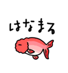 魚大好きな方に送るスタンプ。（個別スタンプ：38）