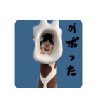 いぶスタンプ方言2（個別スタンプ：7）