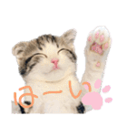 かわいい敬語のねこ 桜太郎1（個別スタンプ：16）