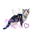 かわいい敬語のねこ 桜太郎1（個別スタンプ：18）