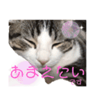 かわいい敬語のねこ 桜太郎1（個別スタンプ：26）