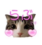 かわいい敬語のねこ 桜太郎1（個別スタンプ：28）