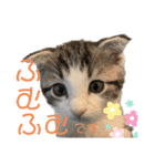 かわいい敬語のねこ 桜太郎1（個別スタンプ：33）