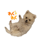 こなつstamp①（個別スタンプ：7）