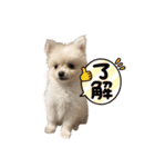 こなつstamp①（個別スタンプ：10）