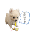 こなつstamp①（個別スタンプ：11）