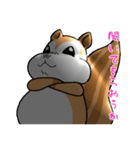 りすン とにかく聞いてほしい（個別スタンプ：5）